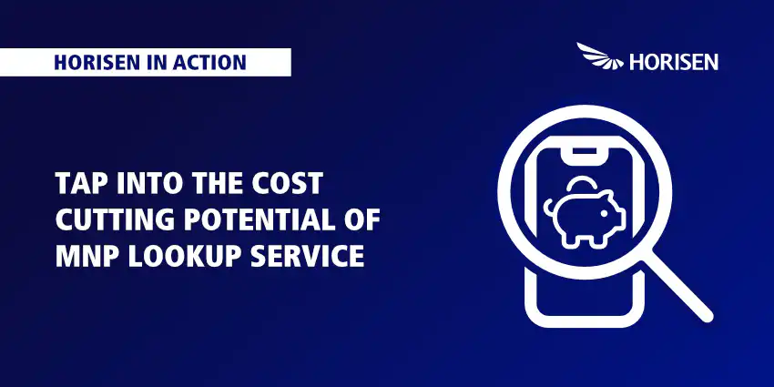 How does MNP Lookup work?